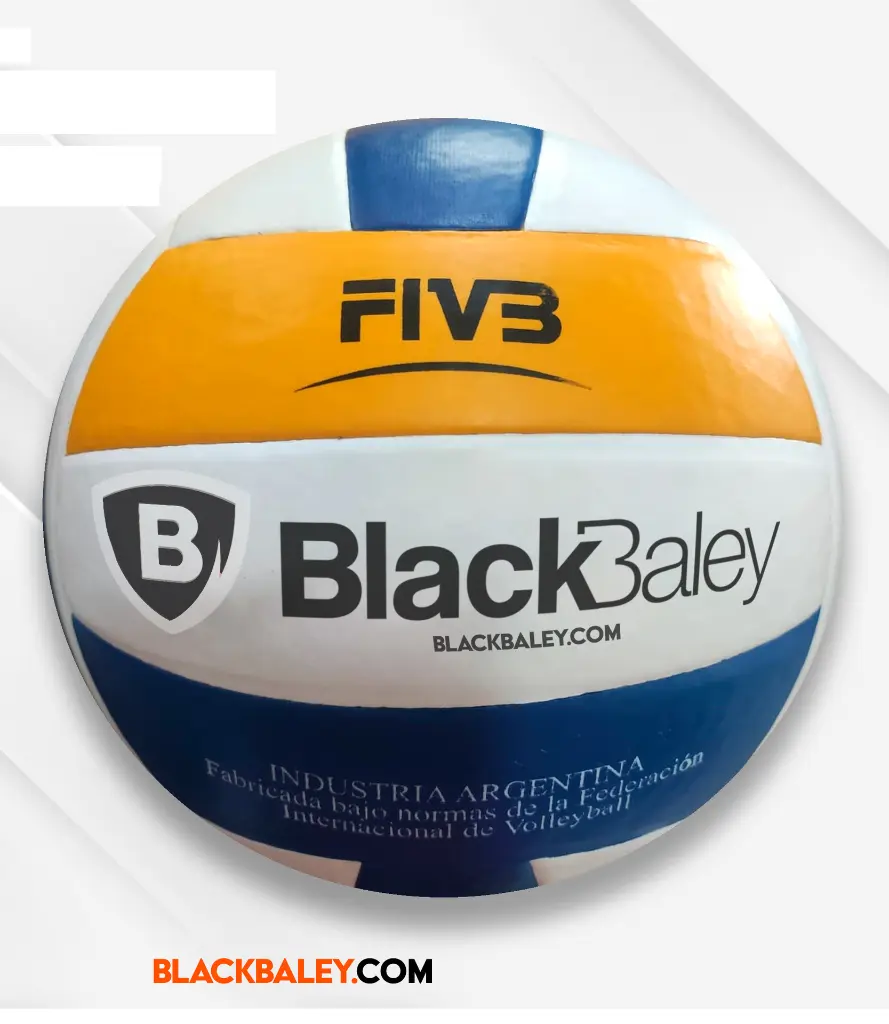 Pelota Voley BB.webp