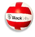Pelota Voley BB4.webp
